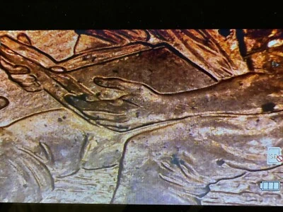 2009-P Lincoln Bicentennial Formative Years DDR - Extra Thumb Double Die Reverse - Image 1 of 4