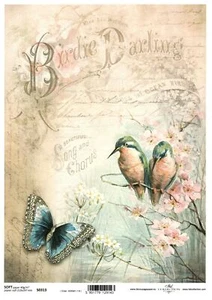 Decoupagepapier Serviertentechnik A4 40g/m² Vintage Birdie Kolibrie text S0313 - Bild 1 von 1