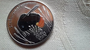 Deutschland: 5 € "Insekten" 2024 -Hummel, stgl. - Bild 1 von 2