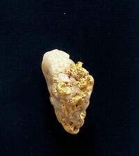 Gorgeous Mother Lode California gold nugget 17.3g.