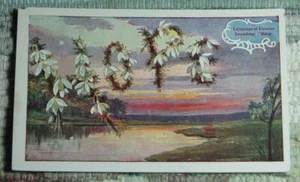 Vintage Unposted Linen Post Card HOPE No Date 1930-1945 - Picture 1 of 2