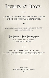 INSECTS at HOME by J G Wood, 1883 hb/670pp/20 PLATES/Hundreds of Illustrations - Imagen 1 de 24