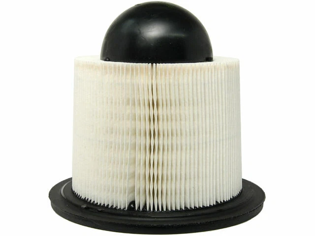 Filtro de aire AC Delco para Ford E350 Econoline Club Wagon 1997-2002 87TKZZ Foto 1 de 1