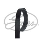 For Mercedes A-Class W176 A 45 AMG 4matic Genuine Gates V-Ribbed Belt