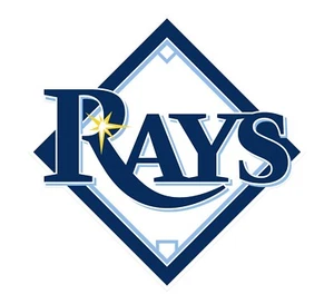 Calcomanía de pared Rays - serie MLB - calcomanía de pared para decoraciones de habitaciones - Imagen 1 de 6