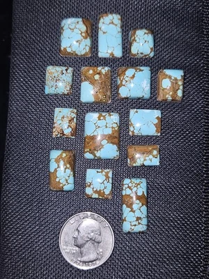 (14) Gorgeous No.8 Turquoise Rectangles - Backed -  110.50 carats total - Image 1 of 4