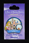 Disneyland Pin A Piece of Disney History LE 1000 Sleeping Beauty Castle Flag