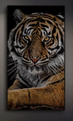 Tiger Wild  Animals Canvas Prints Painting Wall Art Home Decor Picture 1P - Image 1 of 2