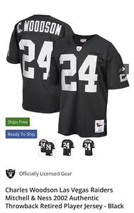 CHARLES WOODSON Jersey - Picture 1 of 5