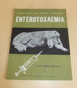 CSIRO Leaflet No. 14 1956 Enterotoxaemia Vaccinating Sheep Australian farming - Picture 1 of 7
