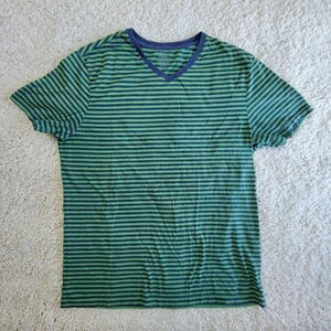 Banana Republic Men's Striped V-Neck T-Shirt Size L Green Blue Cotton Blend - Picture 1 of 9
