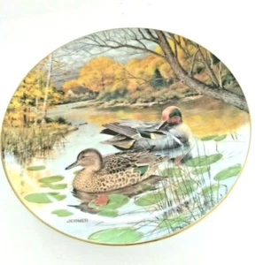 Knowles Collector Plate Green Winged Teal by Bart Jenner 1987 8 1/2 - Foto 1 di 11