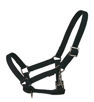 Busse Young Fohlenhalfter Halfter, Stallhalfter Nylonhalfter Mini Shetty schwarz - Bild 1 von 2