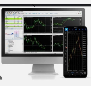 Forex Expert Advisor Zautomatyzowane oprogramowanie do handlu złotem Codzienne zyski skalpowe MT4 USB - Zdjęcie 1 z 24