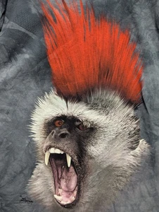 (2009) NEU The Mountain rot Mohawk Affenärmel Grafik T-Shirt Large - Bild 1 von 12