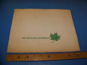 Folleto St Regis Paper Company / Publicidad "Los árboles y los bosques" 1967 - Imagen 1 de 9