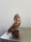 Hand Painted Timber Owl Standing On Knotted Timber  Log