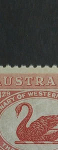 1929 1.5d Swan Variety - MH - Picture 1 of 3