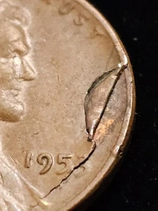 Error 1953 Lincoln Wheat Cent Clam Shell Detached Lamination Reverse Die Crack - Picture 1 of 7