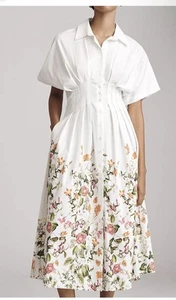 The Tobie Button-Front Pleated Shirt Dress by Exquise Anthropologie Small - Picture 1 of 7