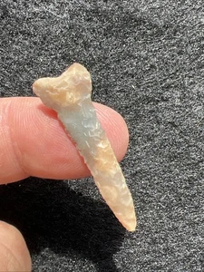 Indianer Pfeilspitze klein Oklahoma Vogelspitze Bohrer Q64 - Bild 1 von 6