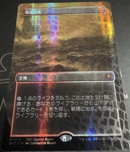 MTG Magic Arid Mesa (Borderless) (Dragonscale Foil) Special Guests Japanese - Picture 1 of 3