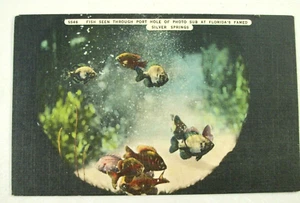 Tarjeta postal Silver Springs Florida Fish Through Port Hole Sub Linen, sin publicar - Imagen 1 de 2