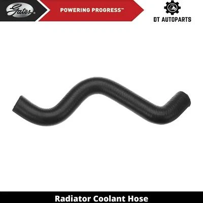 Manguera de refrigerante de radiador de gas V6 3,8 L Buick LeSabre 1992-1995 puertas superiores 1993 Foto 1 de 4