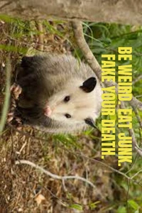 lustiger Aufkleber - Bild 1 von 1