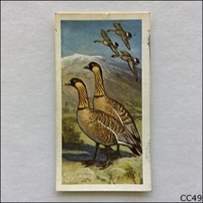 Brooke Bond Tea Card Wildlife In Danger 1963 #28 Ne-Ne Hawaiian Goose (CC49)