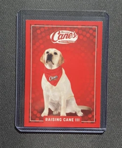 RARE Raising Canes III TRADING Card Fanatics Fest 25' English Labrador Retriever - Picture 1 of 2