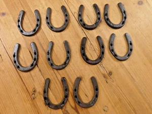 10 CAST IRON SMALL HORSESHOE 3" x 3 1/2" Horse Nick Nack **SMALL CHIPS IN CAST* - Picture 1 of 9