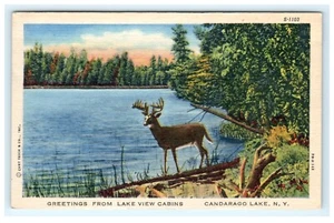1955 Greetings From Lake View Cabins Candarago Lake NY, New York Deer - Bild 1 von 2