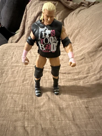 WWE Mattel Elite Series 39 Dolph Ziggler Wrestling Figure with rubber vest Cover