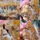 Woodward Ranch Banded Plumes Dendrites Agate Alpine Texas 165G Rough Lapidary 