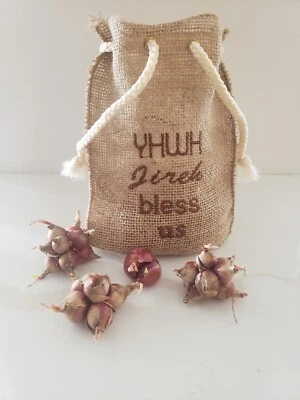 Семена зимнего лука в сумке для хранения - Изображение 1 из 3