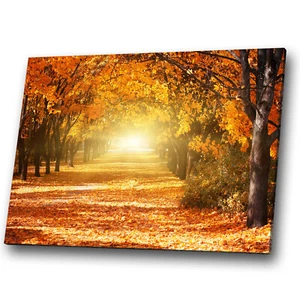Canvas Print Framed Kitchen Wall Art Photo Picture Orange Yellow Autumn Trees - Picture 1 of 4