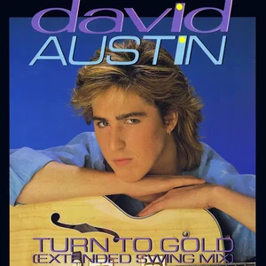 David Austin Turn To Gold Vinyl Single 12inch NEAR MINT Parlophone - Picture 1 of 1