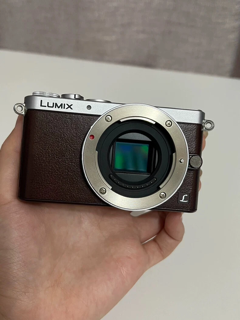 Panasonic LUMIX GM1 14-16.9MP Digital Cameras for Sale | Shop New