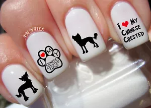 Chinese Crested Dog Nail Art Stickers Transfers Decals Set of 40 - A1206 - Picture 1 of 2
