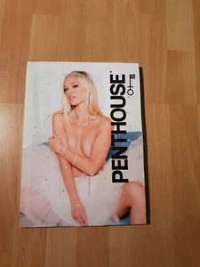 Adventskalender Penthouse leer - Bild 1 von 1