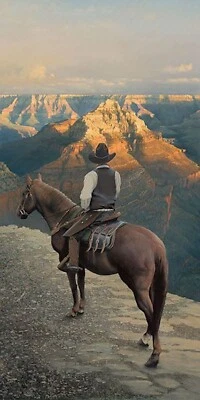 Arte vaquero en lienzo William PHILLIPS Reflections Grand Canyon edición limitada Foto 1 de 4