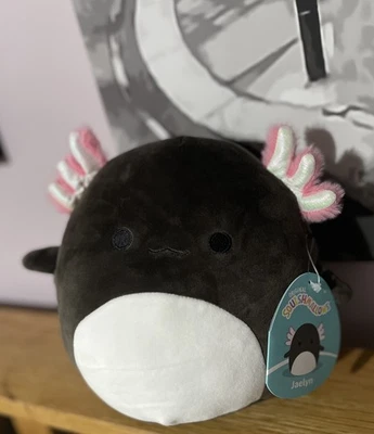 BNWT Soft Toy Axolotl Squishmallow Jaelyn Axolotl Plush 7”|18cm Black Axolotl  - Image 1 of 3