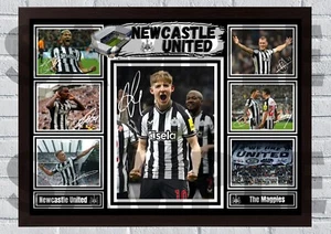 Newcastle United 2024/25 A4/A3 Football Memorabilia/Collectable signed #307 - Picture 1 of 7