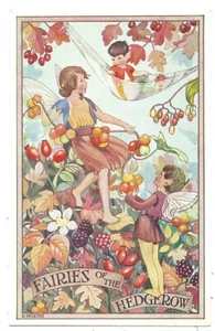 FEEN DER HECKE - Künstler signierte M. SHERBORNE Lachs Postkarte  - Bild 1 von 1