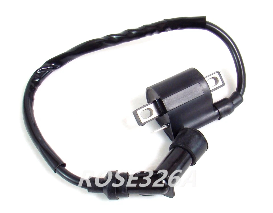 Bobina de encendido Yamaha Raptor YFM50 YFM80 YFM125 YFM250 YFM350  Foto 1 de 1