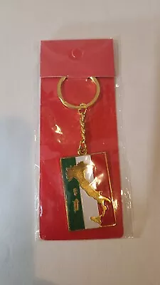 LOT OF 20 High Quality Italy Map Metal Keychain Key chain - NEW - Image 1 of 3