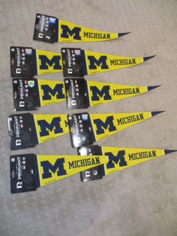 Rico University of Michigan Wolverines 9 Pc Lot Football Pennant 14.5" x 5" * Cover