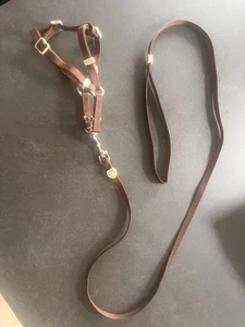 Katzen-Garnitur mit Leine, Nylon Verstellbar Braun 🤎 - Bild 1 von 2