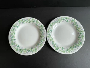 Juego de 2 platos de postre de vidrio resistentes a la rotura Martha Stewart Morning Glory - Imagen 1 de 5